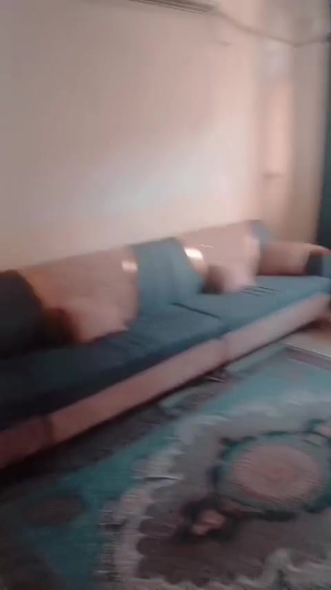 تخم • الدورة ابو دشير • واتساب