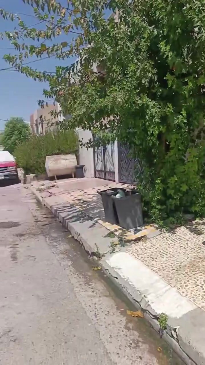 أربيل بيركوتي • ١٠٠م • دورين