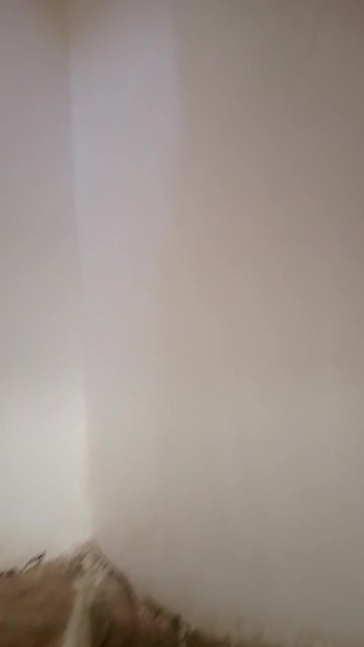 جص وبياض • واجهات • بناء وترميم