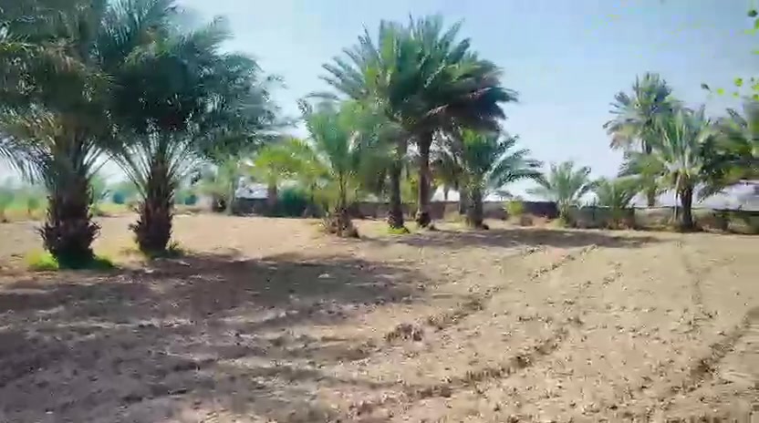 دونم بموقع مميز وغالبيته مزارع طابو زراعي سند 25 تحويل مباشر متوفره كافة الخدمات خلف جامعة بابل بداية منطقة ابراهيم الخليل يبعد عن  شارع حله نجف 3 كيلو فقط كله تبليط الفديو لنفس الارض ومتوفر ماء السقي صيف شتا وسعر مناسب للاستفسار***********
