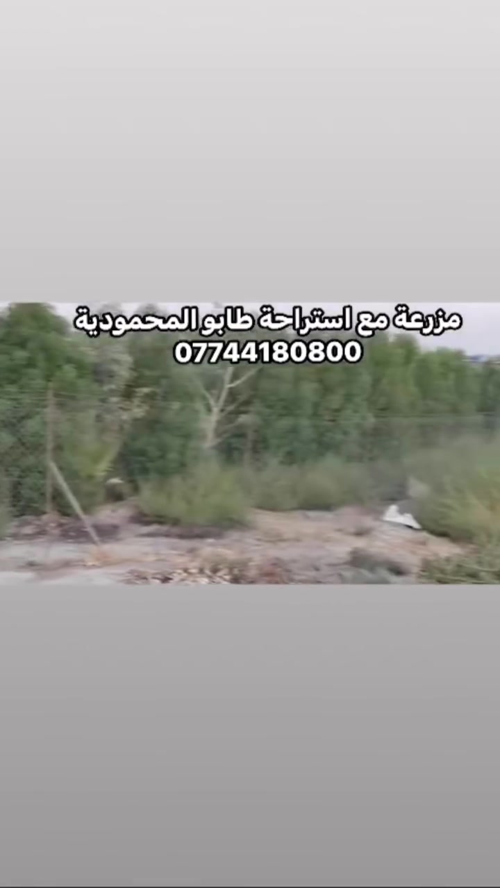 مزرعة مع استراحة على طابو المحمودية باسمي السند قرب الدولي

جنس العقار/ طابو زراعي سند ٢٥  باسمي

الموقع/ بغداد اتجاه سريع الجديد بداية دخول منطقة الجسر الرابع قرب الدولي 

الابعاد /

* تبعد ٨٠٠م  عن السريع العام الدولي 

* تبعد ٢٠٠م   عن مدرسة البشائر والمحلات والتجاري

* تبعد ٢٥٠ م  عن التجاري والرابط بين السريع الدولي     والتجاري المؤدي لمطار الصويره 

* تبعد  ربع ساعة عن جسر الطابقين والدورة   

الابعاد/ شارع ونهر من الامام *وشارع ونهر من الخلف 
 ومحدد ابعادها ومسيجة رسمي مع اشجار مثمرة وسقي ودار استراحة. جاهزة لمزرعه او مشروع تجاري و صناعي لكونها  قريبه من الدولي العام 

***********
شكد مساحة المزرعة بالضبط بالدونم/المتر؟ وشنو أبعادها من الواجهة والعمق؟: 
دونم
الاستراحة شنو مكوّنتها؟ كم غرفة وبيها حمام/مطبخ، وهل هي جاهزة للسكن لو تحتاج شغل؟: 
دار استراحة مع مطبخ وحمام
بيها خدمات شنو متوفرة حاليًا: كهرباء، مي، بئر، مجاري، أو مولدة؟: 
نعم كامل
الطريق الواصل إلها شلون؟ من الشارع العام لحد المزرعة تراب لو مبلط، وكم تبعد بالضبط عن القربان/البوابة؟: 
بغداد انجاه الدولي
السعر شكد؟ وهل هو نهائي لو قابل للتفاوض، وأكو إمكانية نقل ملكية مباشرة على الطابو؟: 
قابل للتفاوض