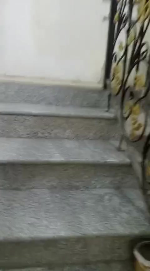 المعلمين الجديد • قرب جسر الزهور • ٢٥٠م