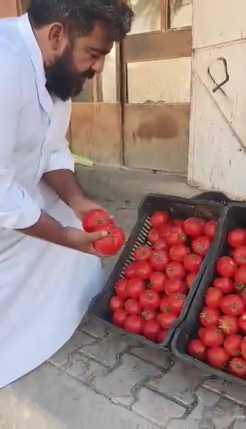 مسواك • جديد • قرب جامع الهضبة الكبير