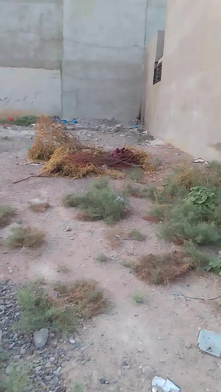 أرض للبيع في حي الشيماء
سند طابو 
ملك حق التصرف 
مواصفات الارض ١٠٠متر باص 
خدمات 
ماء وكهرب وشارع 
الموقع شارع ٢٠ 
مقاطعة ٤
رقم القطعة ٧٣
رقم الهاتف ***********
