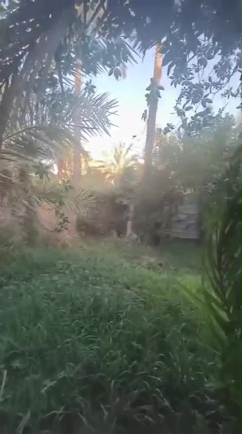 يا الله سلام عليكم 
ارض زراعيه مع دار سكني للبيع 
السعر 250 مليون وبي مجال 
المساحه 1700 الواجه 28متر 
طابو صرف زراعي
تحويل ب اسمك
سند 25  
متوفر كافة الخدمات ماء كهرباء مولدة شارع 
مدرسة ابتدائيه ومتوسطه وثانويه
شارع عرض ٦امتار 
الارض جميع الخدمات
الارض انواع النخيل والحمضيات 
الموقع /شارع ١٠٠  الرابط بزل حجي علي  
للاستفسار اكثر وبخدمتكم
***********

