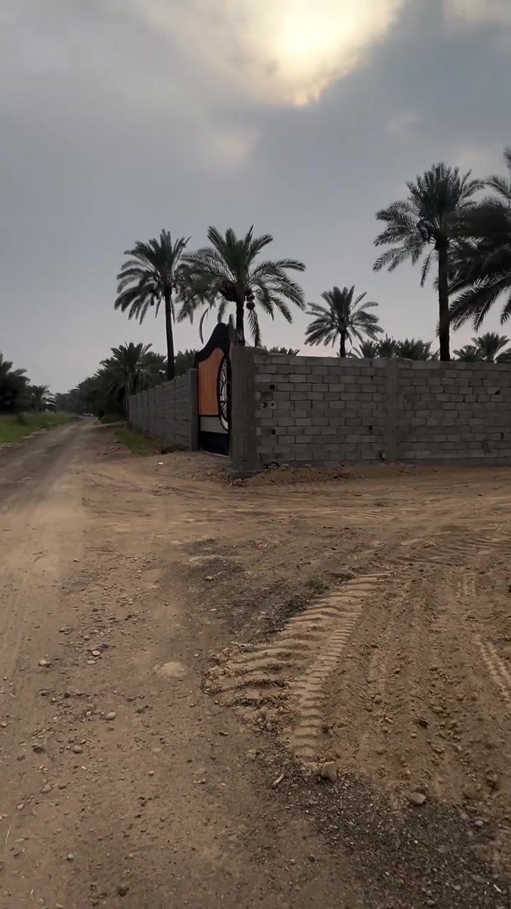 دونمين • طابو زراعي • الجعاره