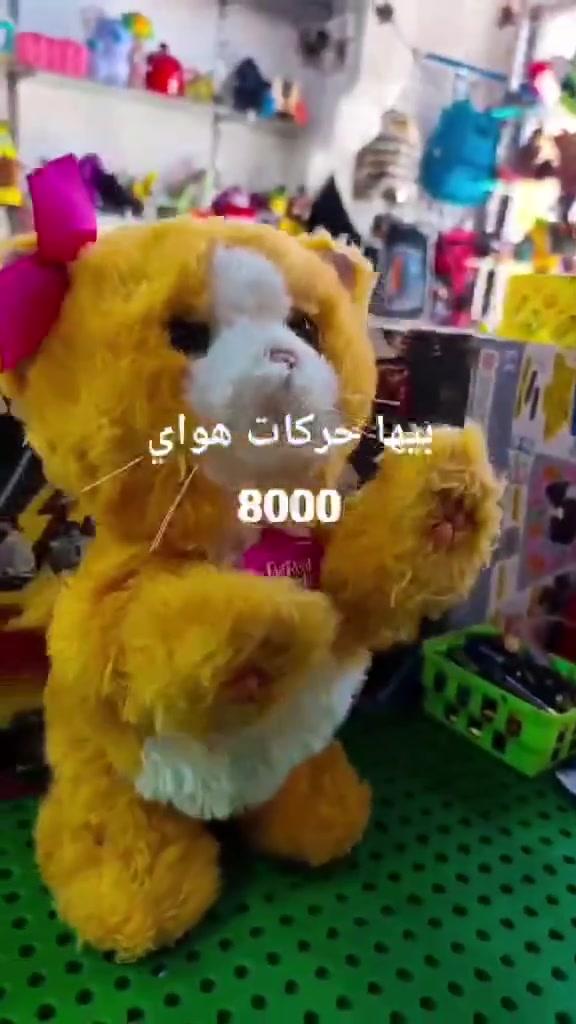 لا توجد تفاصيل

