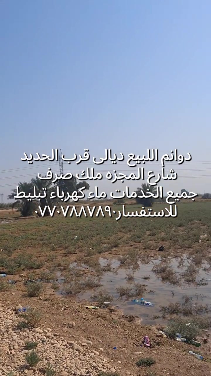 فرص استثمارية • أراضي ودوانم • بيوت ومزارع