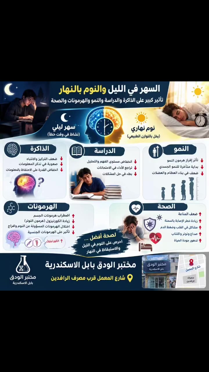 بابل الاسكندرية • خدمات • ماكو تفاصيل