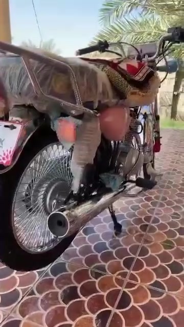 سونيك • اصلي