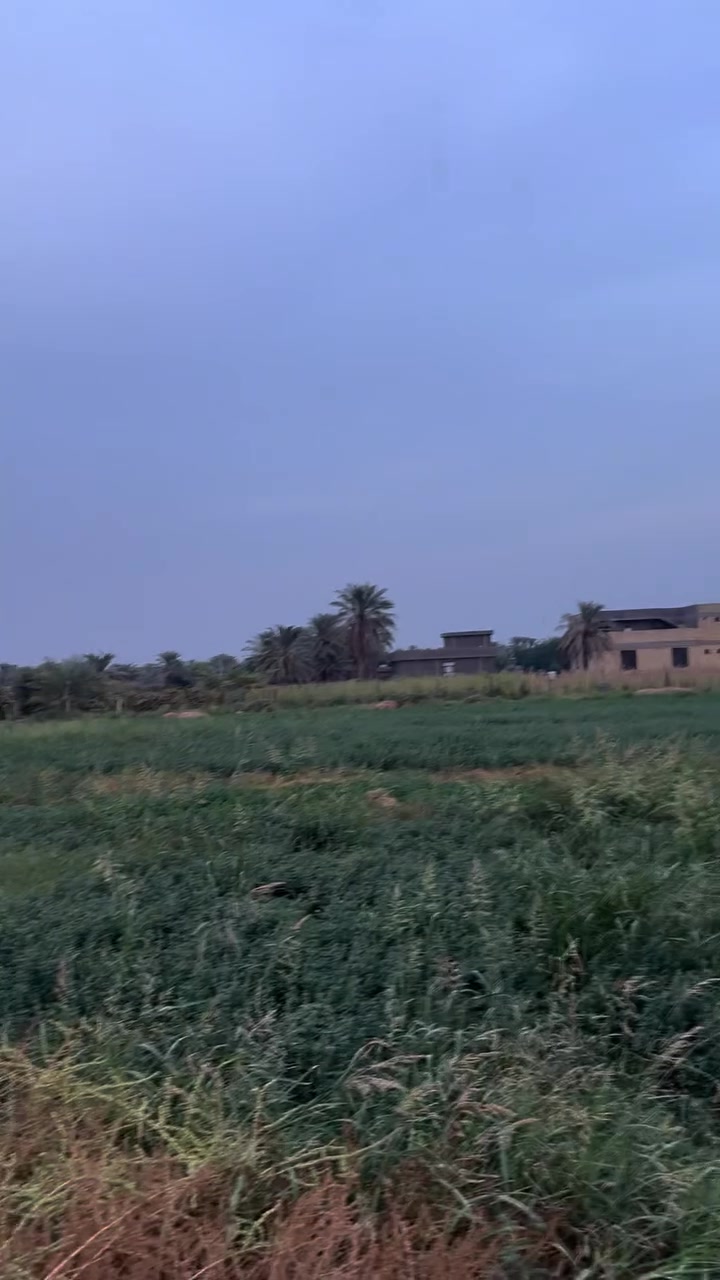 دونم • طابو سند ٢٥ • واجهة ٤٠م