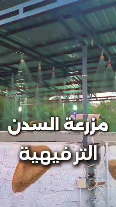 🌿 على بركة الله تم افتتاح مزرعة السدن الترفيهية 🌿

أجواء جميلة، راحة واستمتاع، ووقت مميز برفقة الأهل والأصدقاء 🤍

📍 مزرعة السدن الترفيهية
هيت حي البكر الشرقي - مجاور معمل الثلج

📞 للحجز والاستفسار:
***********
***********

✨ أهلاً وسهلاً بكم… وننتظركم بأجمل الأوقات ✨
https://www.facebook.com/share/19ZTrqmLUc/?mibextid=wwXIfr
