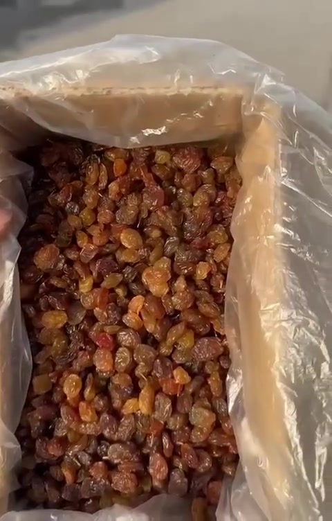 توصيل مجاني • كيلو و٢٠٠ • جملة