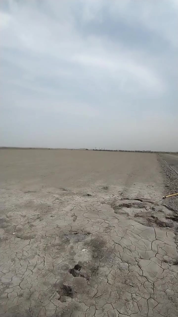 التاجي الشيخ عامر • ١٦ دونم • طابو زراعي
