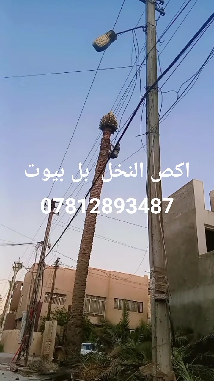 اخوان العند نخله يكصه يتصل عليه ويدلل اشتغل كل محافظات العراق اجي عل لوكيشن  ***********
