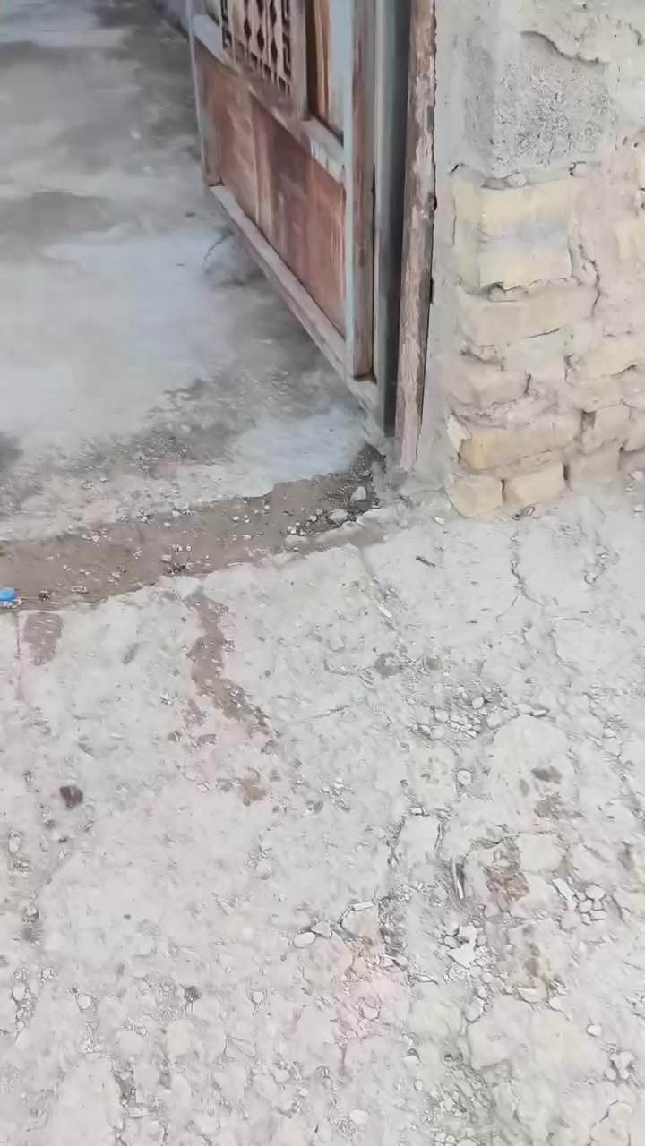بيت زراعي مبني طابوك وسطح كاشي بحي طارق القديم تعتبر صيطره ثانيه سعر 50وبي مجال***********
