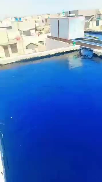 تزفيت • ماستك • شغل درجه اولى