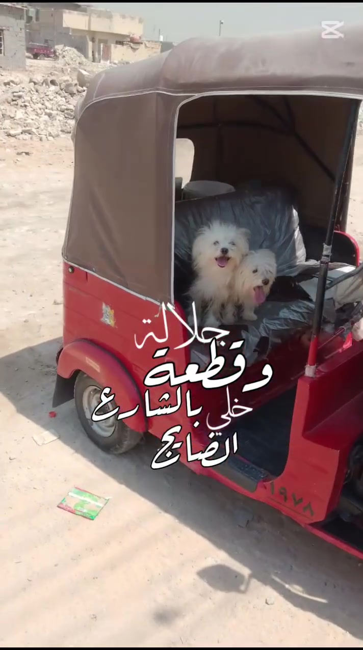 السلام عليكم تكتك البيع موديل 2018 شهر 18/2 نضيفه شوفت عينك شعرها 5 ملايين 250 وبيها مجال عنوان بغداد مدينه الصدر حي طارق القديم الاستفسار *********** واتساب
