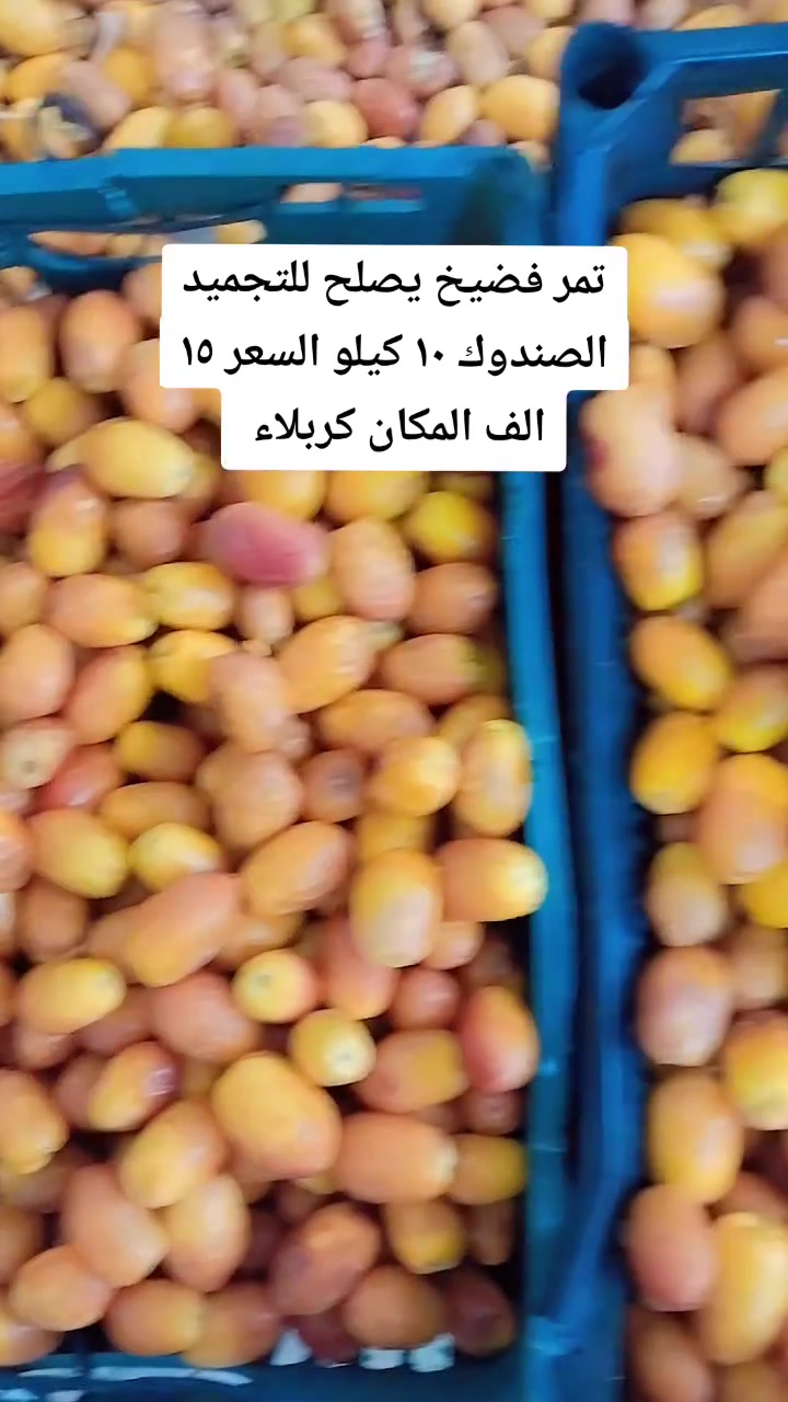 تمر فضيخ • كربلاء