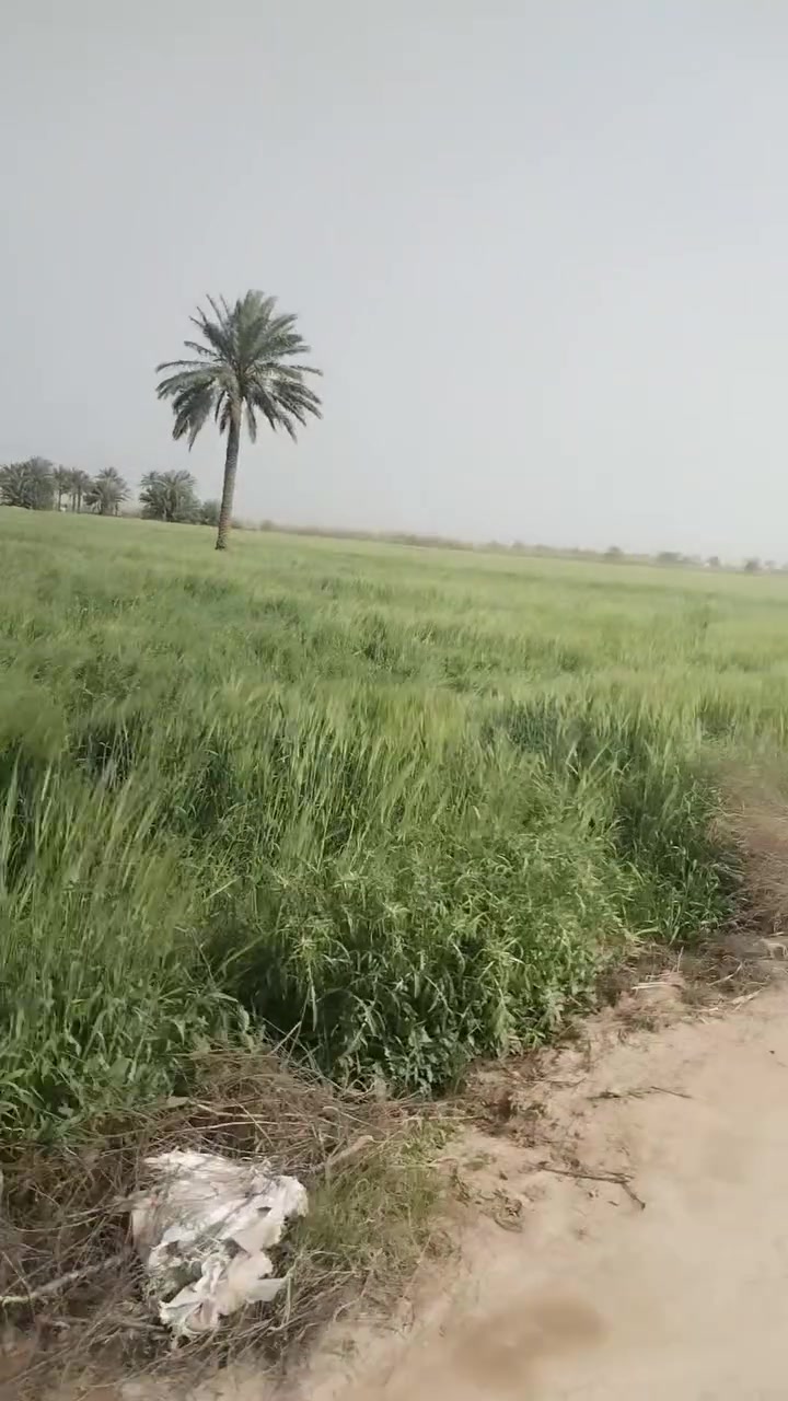 للبيع  40 دونم طابو زراعي سند 25
بابل •••منطقة البدعه ••• مقابل شارع ابو الجاسم
متوفر كافة الخدمات __ تبليط ••• ماء سقي صيف وشتاء ••• اساله ••
تحويل مباشر •• بسعر جيد ••
***********
