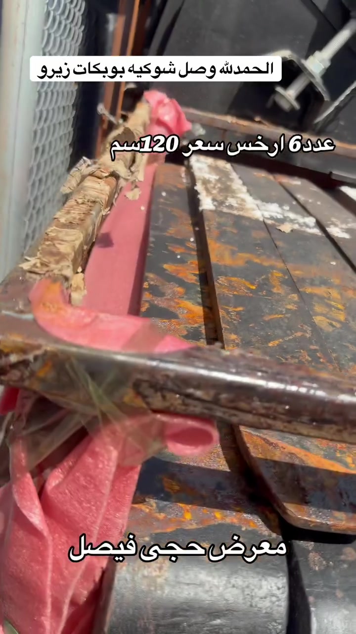 الحمدلله وصل شوكيه بوبكات زيرو 
عدد 6 ارخس سعر  120سم صفر 
مكان أربيل معرض حجى فيصل 
*********** ***********
