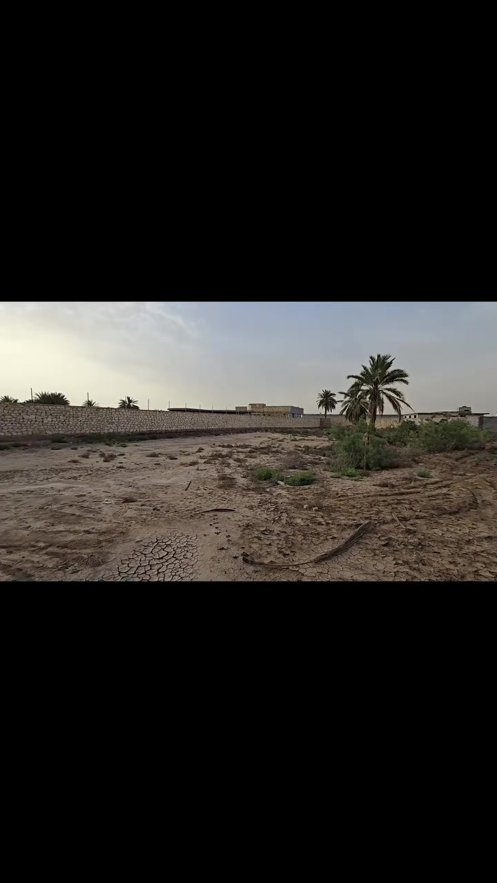 ١ دونم • طابو صرف • الكوفة