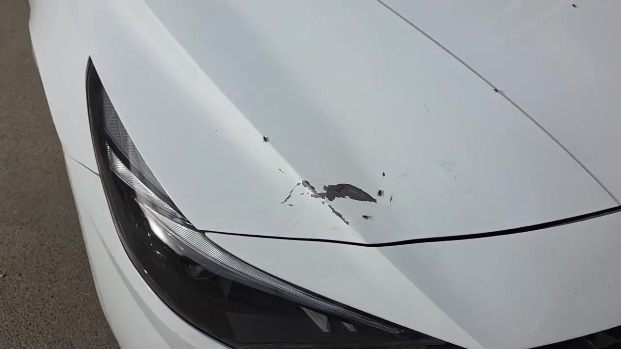 🔥 للبيع النترا 2022 – 1600 دوش 🔥
🚘 اللون: أبيض
📍 المكان: الناصرية – مركز المدينة
🛣️ الممشى: 70 ألف كم
⛽ مضافة عليها منظومة غاز
✨ مواصفات السيارة: ✅ تحكم فول
✅ تبريد خلفي
✅ شاشة
✅ كاميرا خلفية
✅ 5 ويل كب 
✅ لايت أمامي زنون 
📋 رقم ذي قار – شركة مصرف / استقطاع مباشر
⏳ باقي سنة وتصبح السيارة حرة
🔧 للتوضيح وبكل أمانة:
الباب الخلفي جهة السائق مبدل بباب أصلي شركة وبدون صبغ، بسبب طگة ستوتة، والباب القديم موجود.
وبارد اقل الشبر في مقدمة البنيد
💰 السعر: 140 $
📌 الجاد يتفضل، والسيارة جاهزة للفحص من أي مكان.
🌹 المعاينة خير دليل، والرزق على الله.
للتواصل والاستفسار اكثر 
***********
