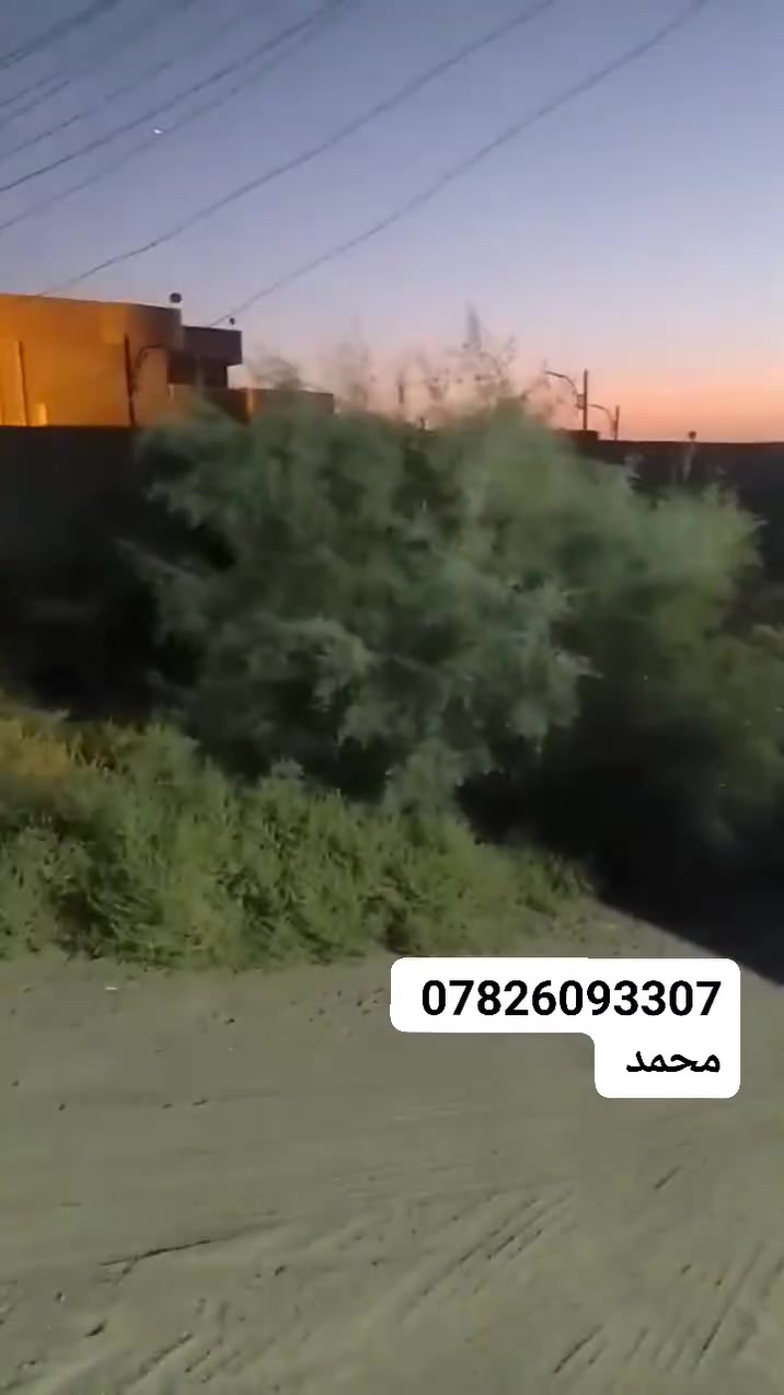 للبيع كاع معه بيت في النساف  منطقة البعلاوان 
بصف جسر 🌉البعلاوان 
وقرب محطة البعلاوان 
طابو زراعي سند 25 تحويل مباشر 
مساحه الكاع 1.360 متر 
السعر 80وبيه مجال لشراي 
التفاصيل كامله موجود بل الفيديو  
*********** موجود واتساب
