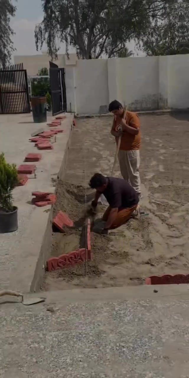شارع الربيعي • تنسيق حدائق • تكريب نخيل