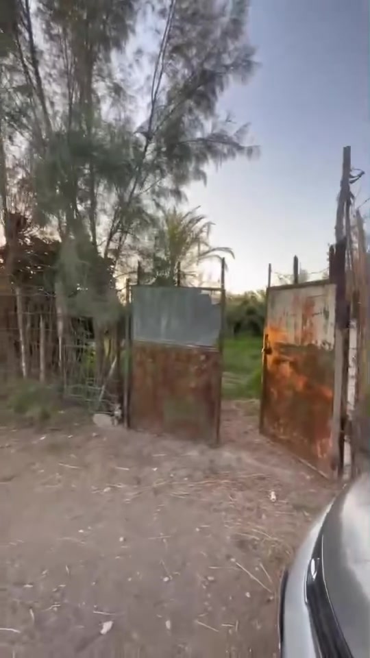 الكرابلة • بستان • ٥٠٠٠م