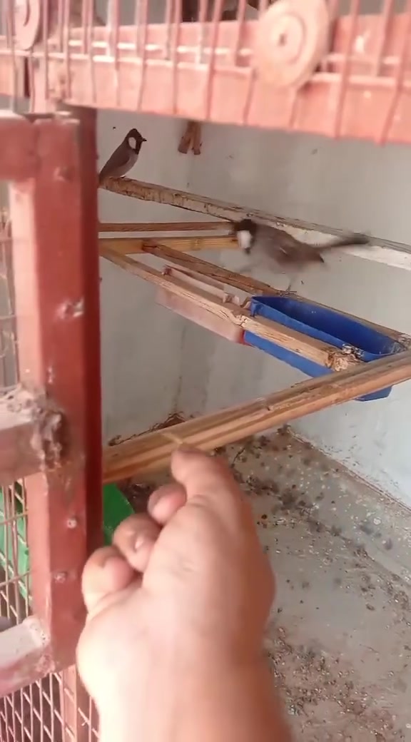 غراض بيت • سعر مناسب • تواصل خاص
