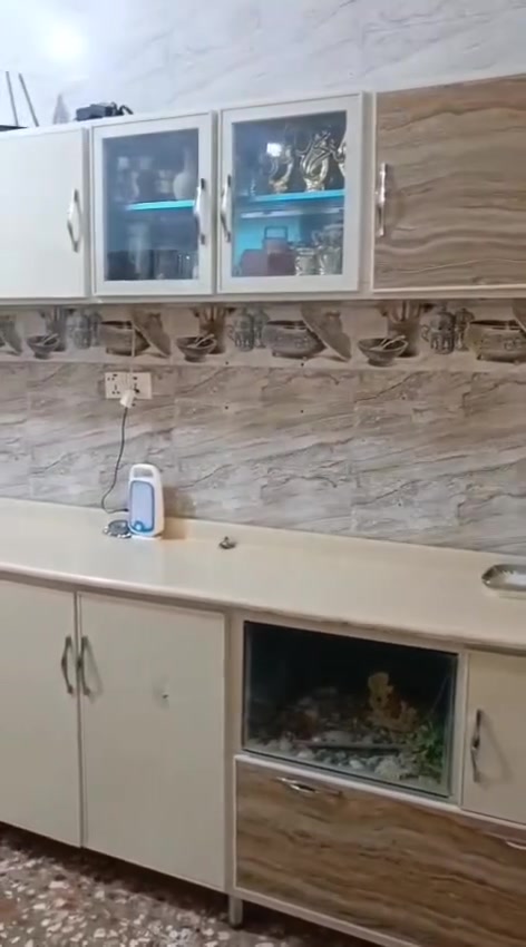 للبيع كونتر مرمر بل كامل طول ٣ متر مولحك  ٣ متر معا سنك مرمر طول ١٨٠ معا سله تعليك حله مركز سعر ٣٦٠ 

‭***********‬
