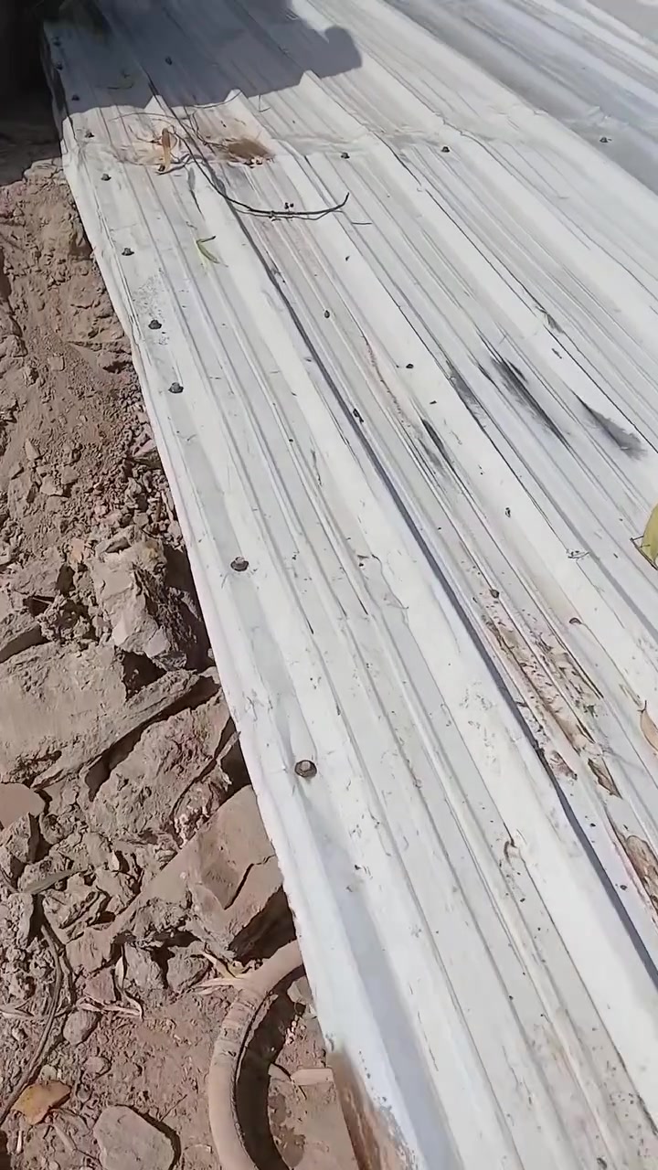 سقفيه • ٨×٥م • القادسيه سوق شعلان