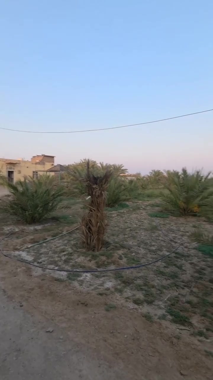 #الجميع ***********
