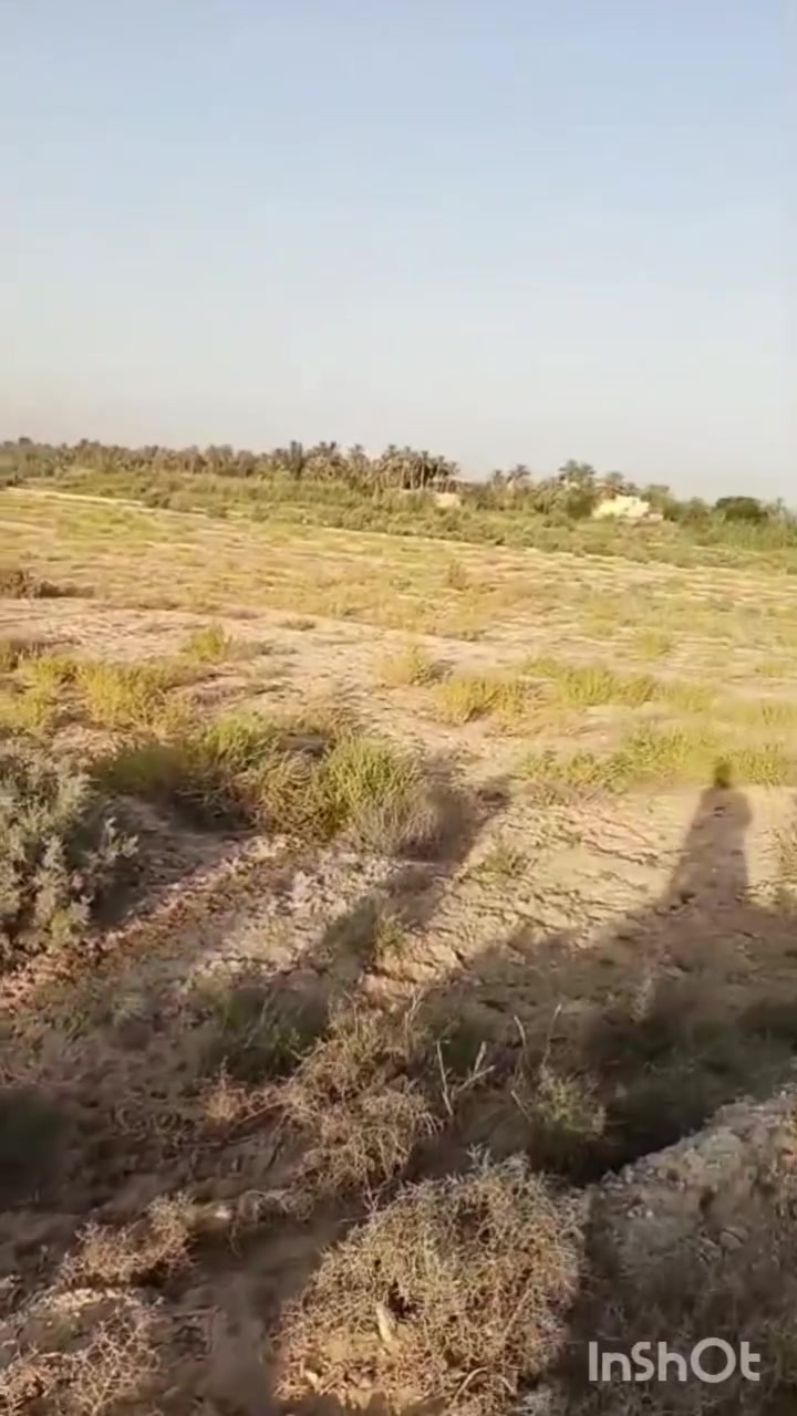 السلام عليكم ٣٠ دونم طابو زراعي سند 25 كربلاء طوريج الخيرات منطقة كريط جدا قريبة على شارع نجف كربلاء واجهة ٣٠٠ متر كافة الخدمات كهرباء طوارئ وماء سقى واسالة وتبليط  تباع نصف او حسب الطلب الأرض مخدومة تصلح سكن ومشروع سعر الدونم الواحد ٢٥ مع المجال للاستفسار الاتصال على الرقم *********** او ***********
