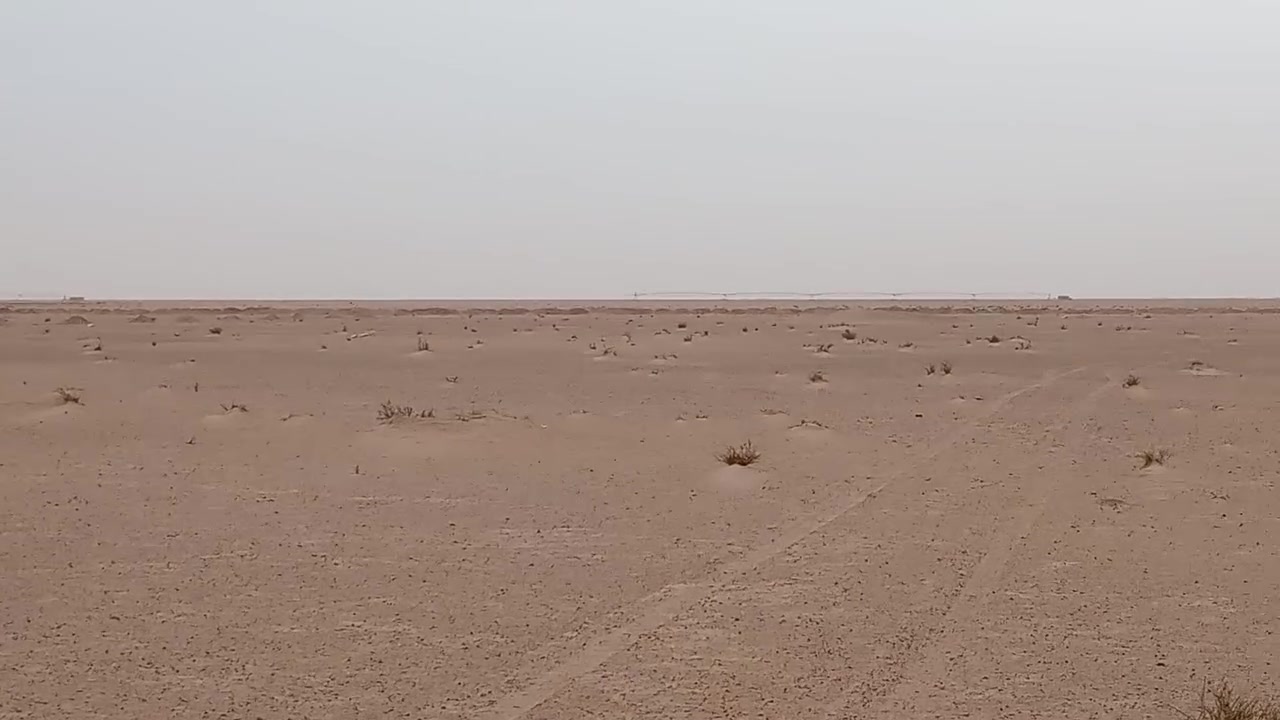 النجف • ٥٠ دونم • منطقة الديوك
