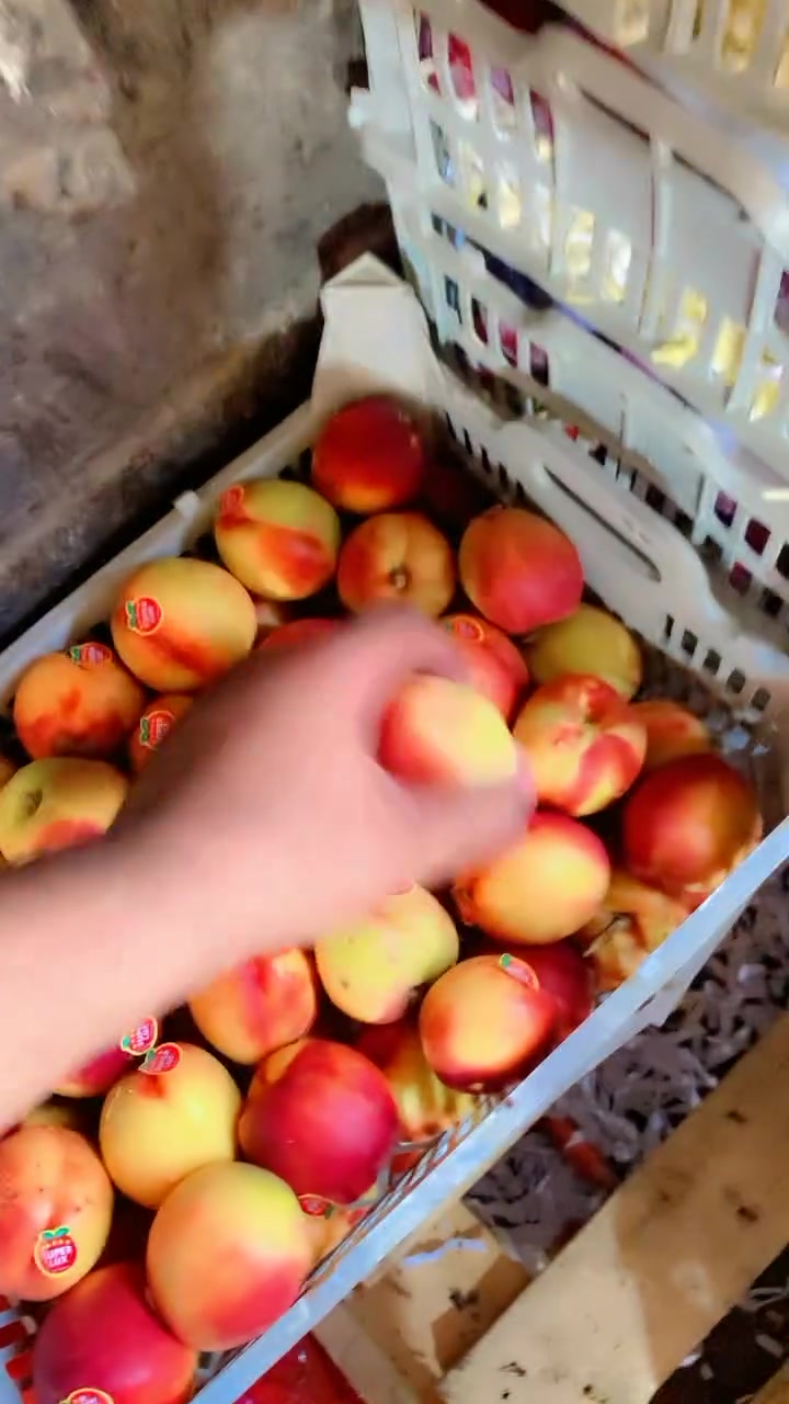 متوفر توصيل مسواك كامل
***********
