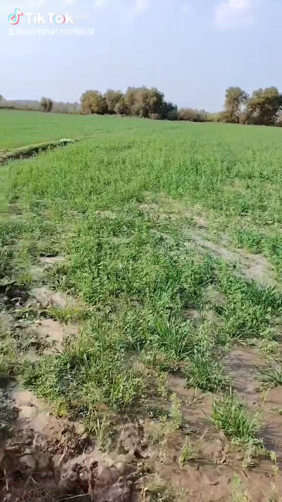 ‏حفر آبار ___ حفر /// 🚜 آلة _______ مستعدون لحفر الآبار الارتوازية بأنسب الأسعار  شغل مضمون 100% ، مع بواري بلاستك الوطنية الاصلي 10 بار أو أكثر . للأستفسار الاتصال بنا على الارقام التاليه.
***********‏   واتساب *********** 
‏
‏حفر آبار ___ حفر /// 🚜 آلة _______ مستعدون لحفر الآبار الارتوازية بأنسب الأسعار  شغل مضمون 100% ، مع بواري بلاستك الوطنية الاصلي 10 بار أو أكثر . للأستفسار الاتصال بنا على الارقام التاليه.

‏حفر آبار ___ حفر /// 🚜 آلة _______ مستعدون لحفر الآبار الارتوازية بأنسب الأسعار  شغل مضمون 100% ، مع بواري بلاستك الوطنية الاصلي 10 بار أو أكثر . للأستفسار الاتصال بنا على الارقام التاليه.

‏حفر آبار ___ حفر /// 🚜 آلة _______ مستعدون لحفر الآبار الارتوازية بأنسب الأسعار  شغل مضمون 100% ، مع بواري بلاستك الوطنية الاصلي 10 بار أو أكثر . للأستفسار الاتصال بنا على الارقام التاليه.
