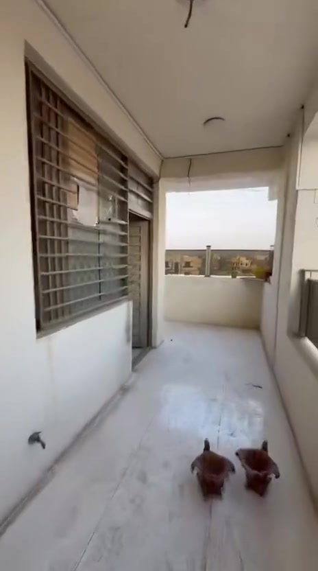 شقق للايجار مساحه 110 متر حي دجله شارع 22 تحتوي ع غرف نوم اثنين صاله كبيره ومطبخ للاستفسار ***********
