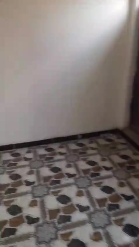 الدوره الطعمه • ١١٧م • بناء حديث