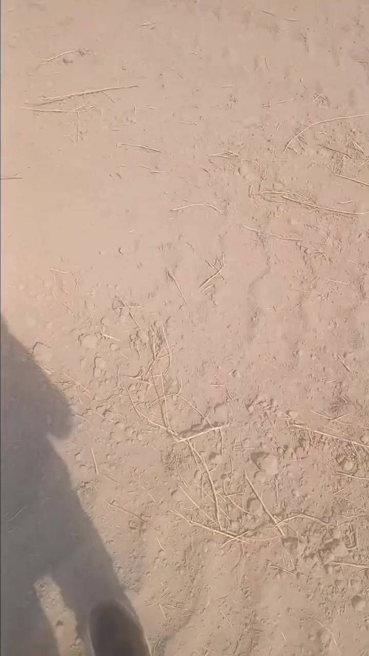 السلام عليكم ٥ دوانم واقع حال ٥ونص دونم طابو زراعي سند ٢٥بالصويره منطقة الرحمانيه تحويل مباشر تبعد عن الشط ٢كيلو وعن المدرسه والتبليط أيضآ ٢كيلو الأرض بيها بير ماء ارتوازي وماطور سقي صالحه لزراعة وجاهزه سعر الدونم الواحد ٦ملايين للاستفسار أكثر الأتصال على الرقم ***********او واتساب
