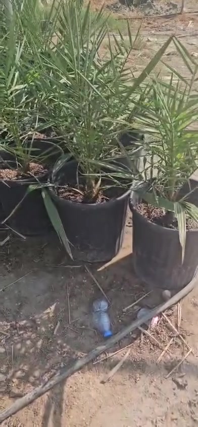 برحي
برحي
حجم دبل دبل ١٧٥ الف
برحي  حجم تحت الدبل ١٢٥
 للتواصل
***********
***********
بابل السريع الدولي

