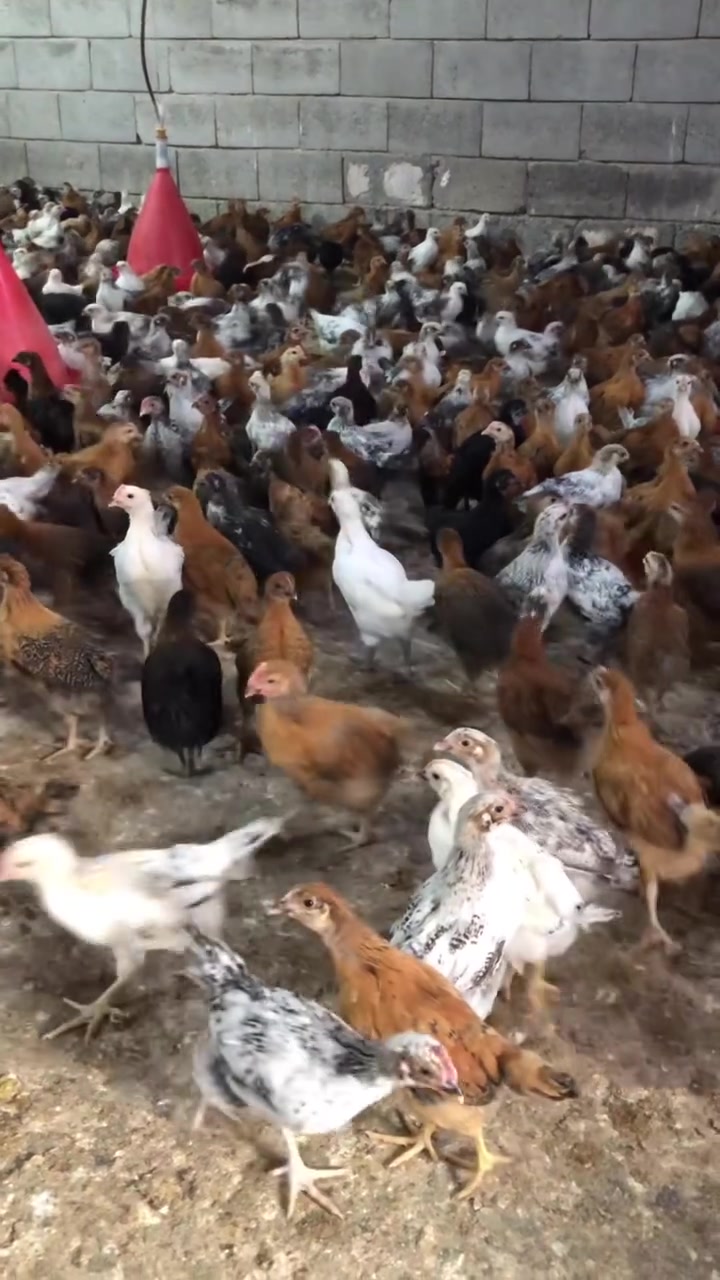 جوتي • رخيص • ما يجاوب بالكومنت