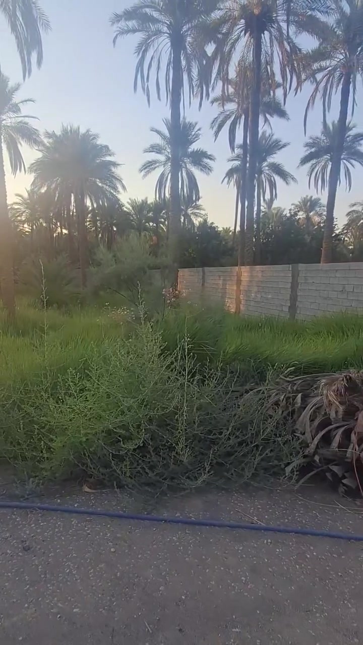 البيع في كربلاء منطقه الفراشيه ملك طابو صرف المساحه600
***********
***********
