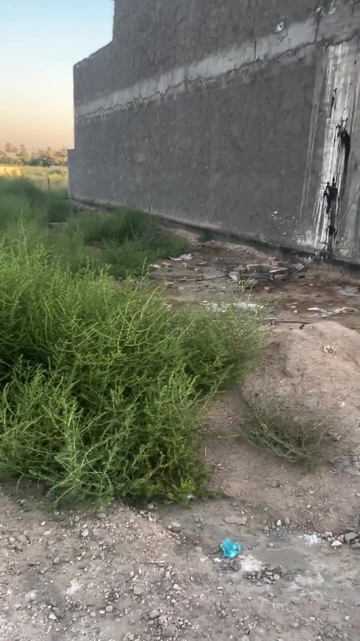 السلام عليكم قطعه 250 م واجه12ونص ونزال22 ونص بجناجه وره الملعب مباشر كامل خدمات قريبه ع الشارع العام سعره 32 وبيه مجال رقمي ***********
