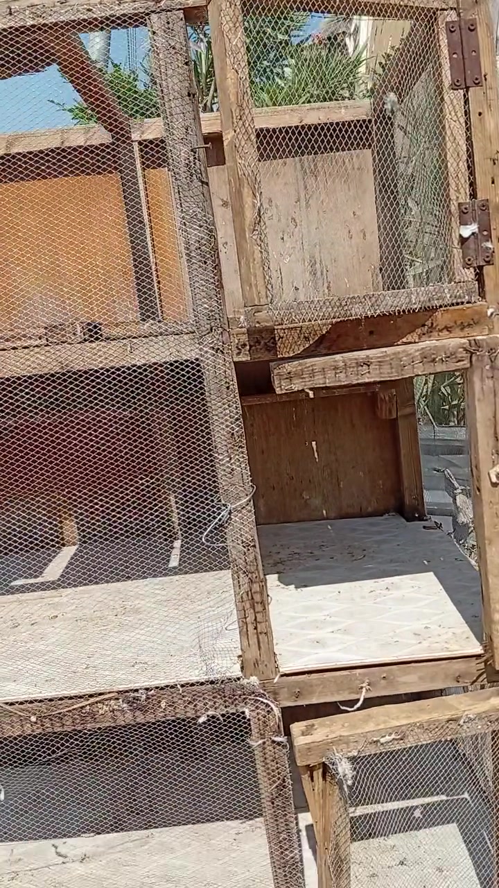 من رخصة أخونة لادمن خانات العدد 2 سعر الوحدة 30 العنوان الناصرية الاسكان الصناعي رقم وتساب ***********
