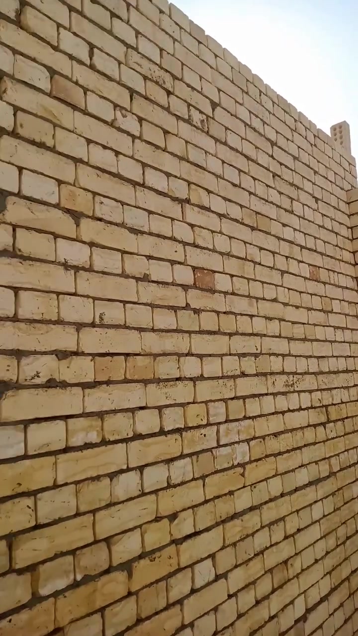 خلفات بناء • مصري • شغل درجة أولى