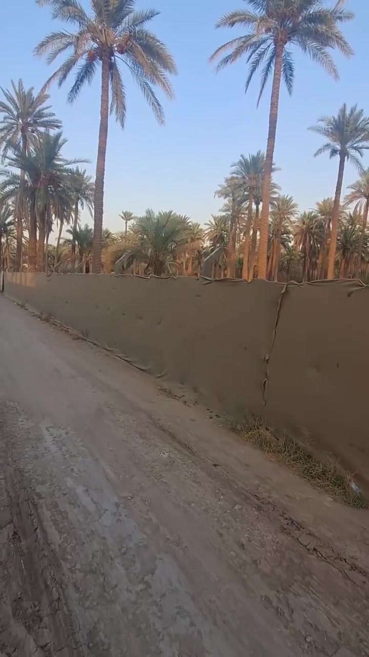 البيع في كربلاء بستان دونمين طابو زراعي سند25تحويل اسهم
منطقه ابو طحين للاستفسار***********
***********

