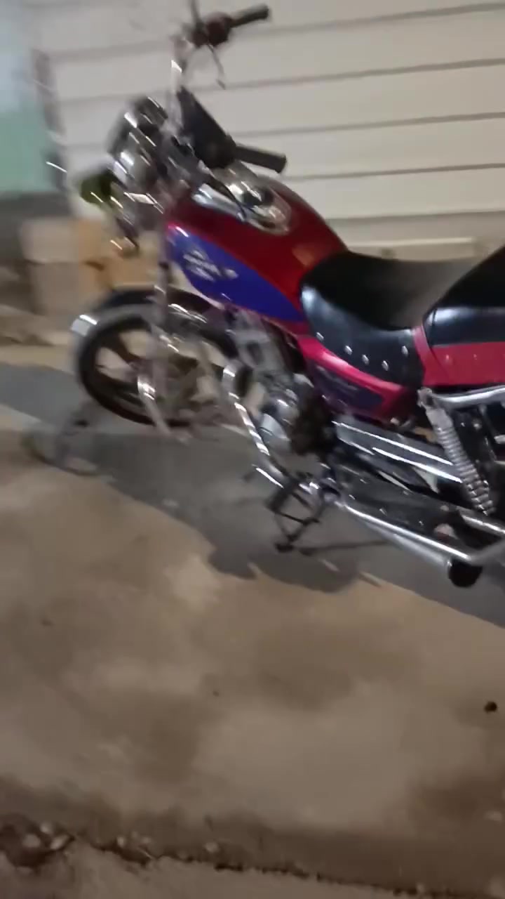 جونده • ٢٠١٠ • الدجيلي