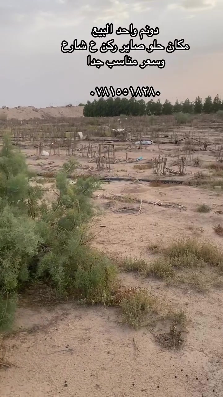 دونم • شارع سفان زبير • كهرباء بنصه